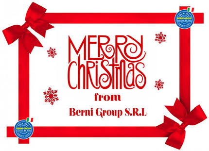 MERRY CHRISTMAS BERNI.jpg